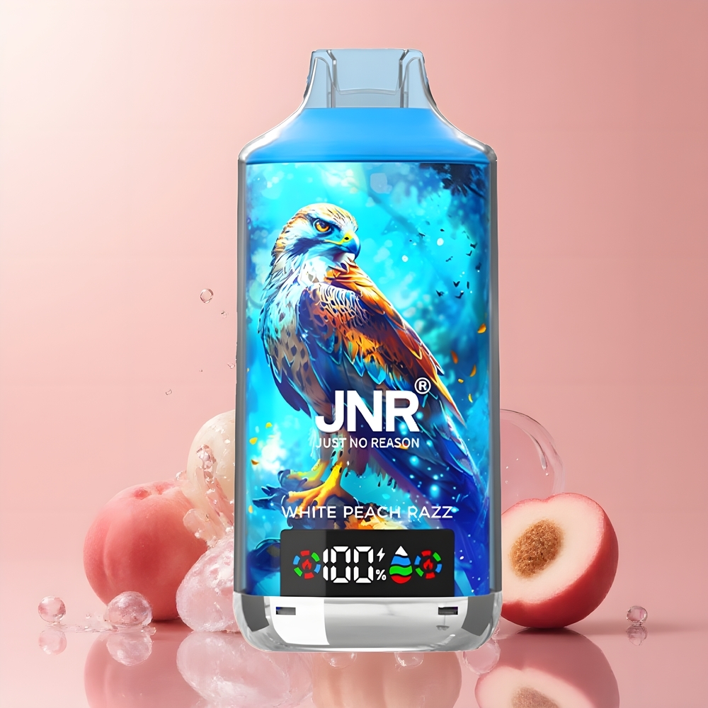 JNR Falcon X 18000 Puffs | 750mAh | 24ml | Dual Mesh Coil | Type-C | grossister Sverige